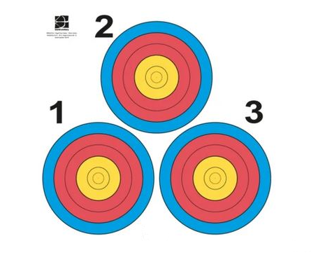 Triangular vegas archery face